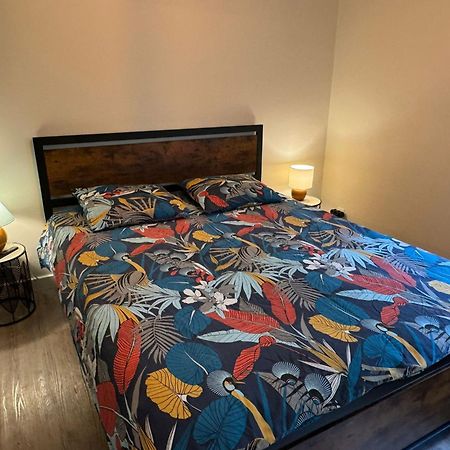 Residence Bois Du Bouchet, Appartement Vue Montagne, Calme, Parking Gratuit, Proche Centre Chamonix Dış mekan fotoğraf